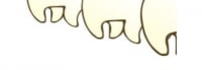 Crosby Dental