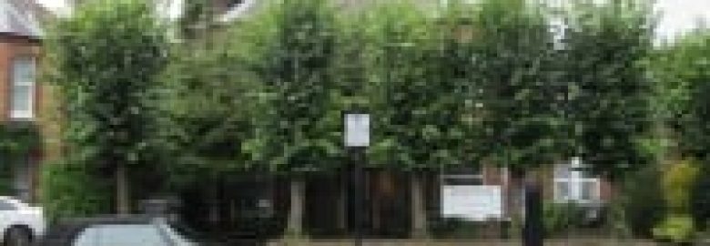 Eltham Park Dental Practice Ltd