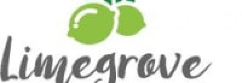 Lime Grove Dental Care