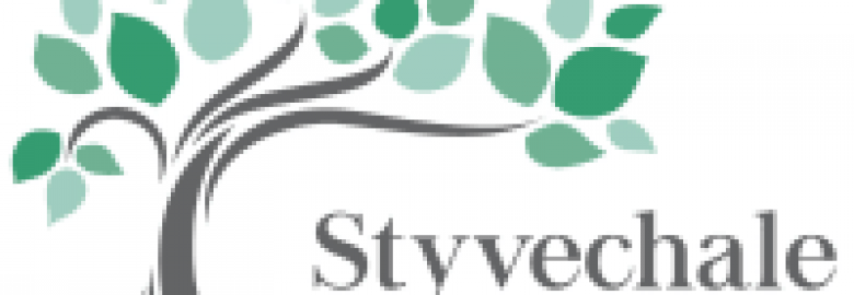 Styvechale Dental Care