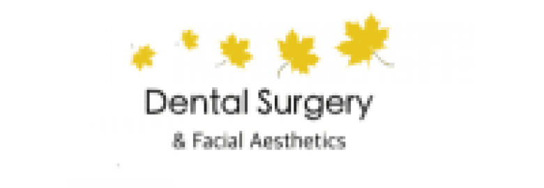 The Dental Surgery