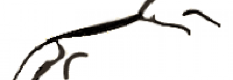 The Pewsey Dental Practice