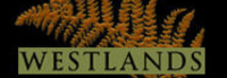 Westlands Dental Studio